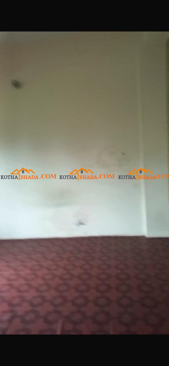 2bhk flat available for rent in Chitwan, bharatpur - near trichowk