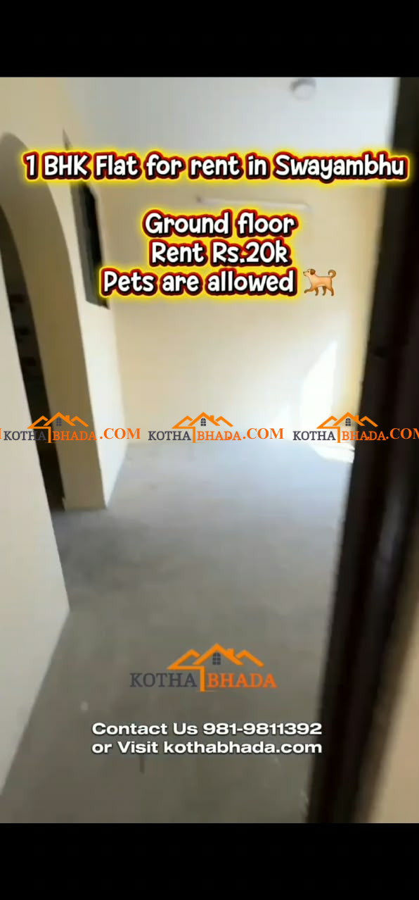 1bhk flat available for rent in swayambhu, Near single tree